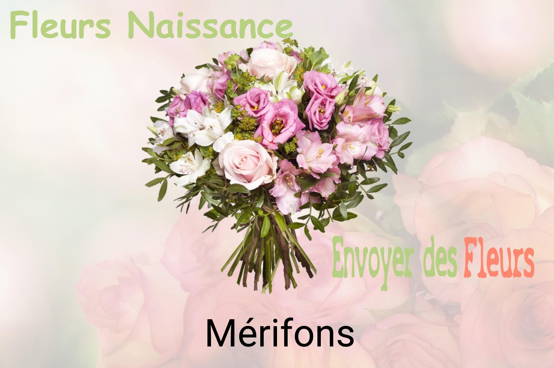 Bouquet de fleurs de naissance livré à Mérifons